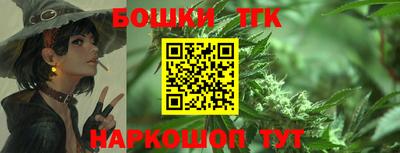 индика Лесосибирск