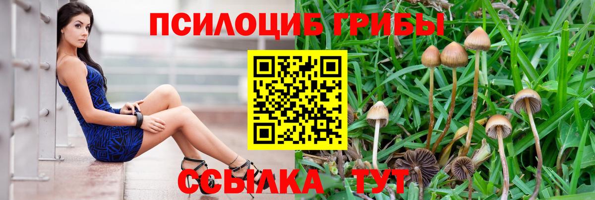 Галлюциногенные грибы мицелий Батайск